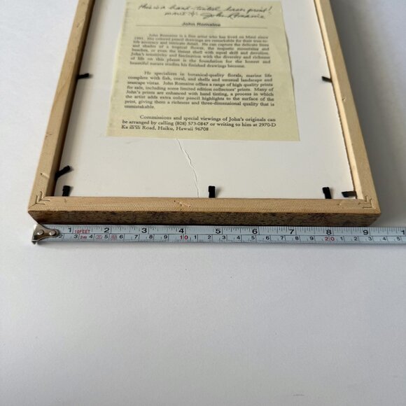 Hawaiian Botanical Bird of Paradise Art Print Set of 2 - Picture 6 of 8